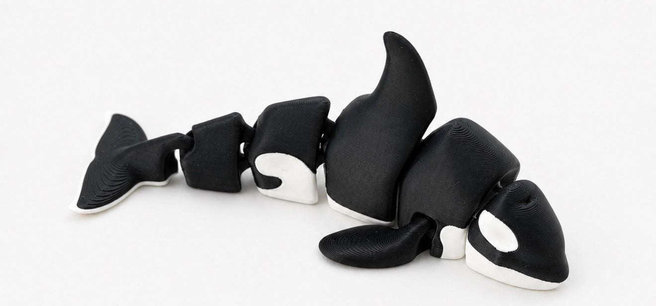 Killer Whale