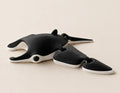 Manta Ray Fidget