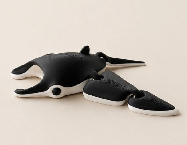 Manta Ray Fidget