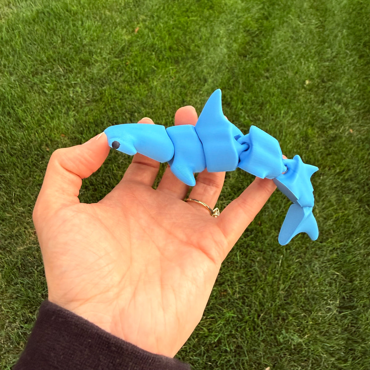 Articulated Shark