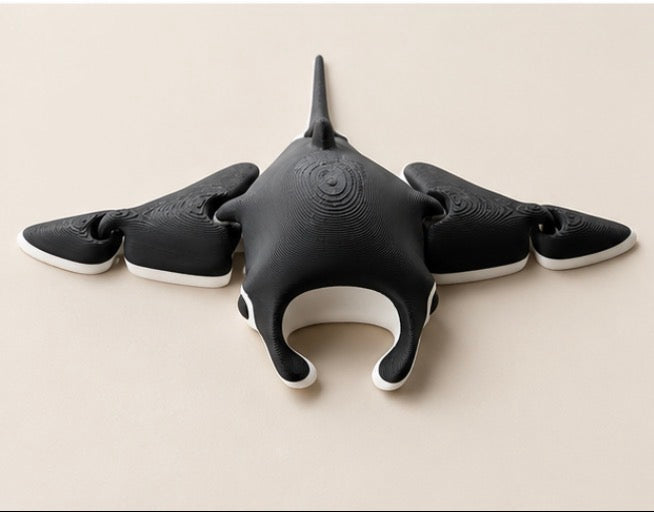 Manta Ray Fidget