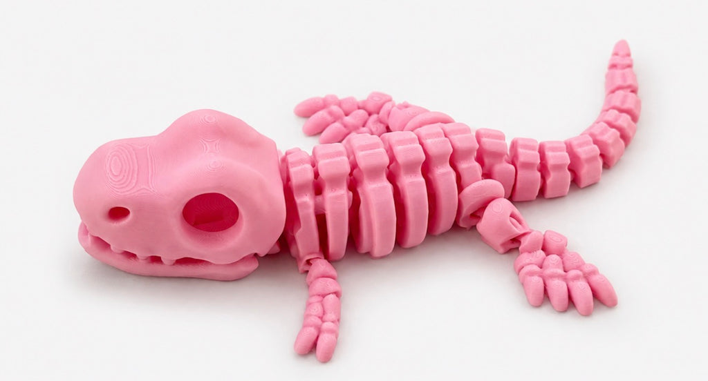 Dino Fidget