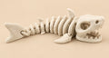 Articulated Shark Skeleton