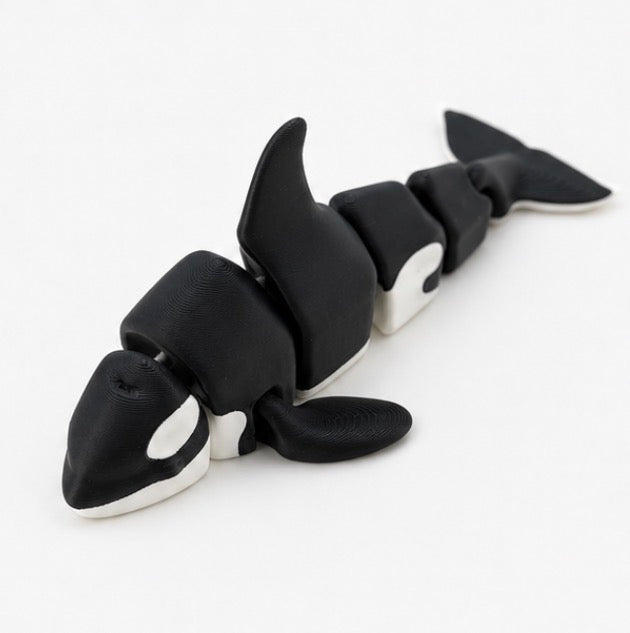 Killer Whale