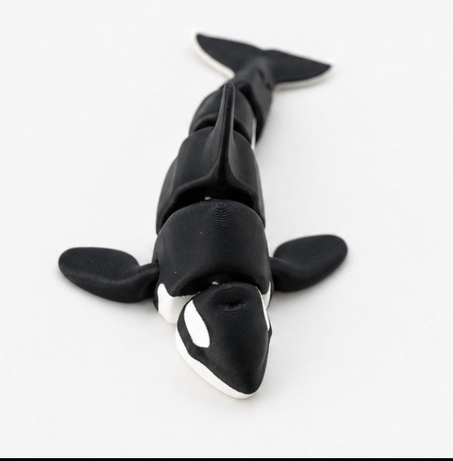 Killer Whale