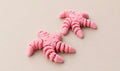 Starfish Fidget