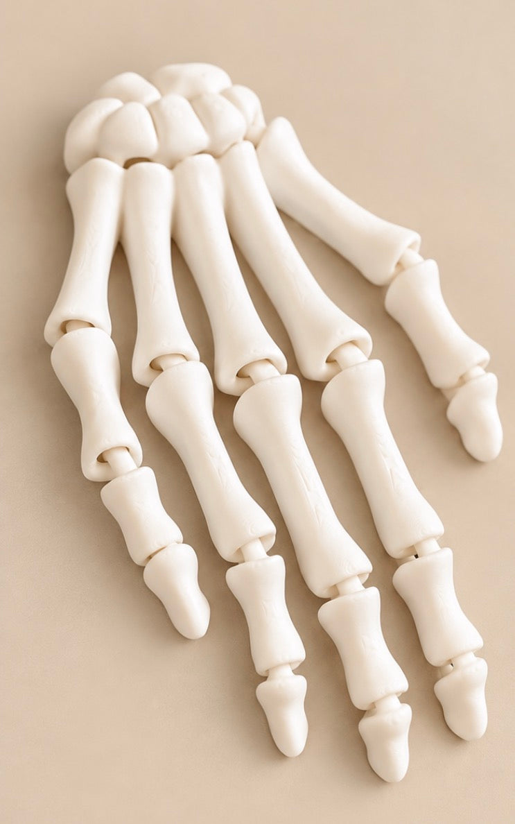Articulated Skeleton Hand